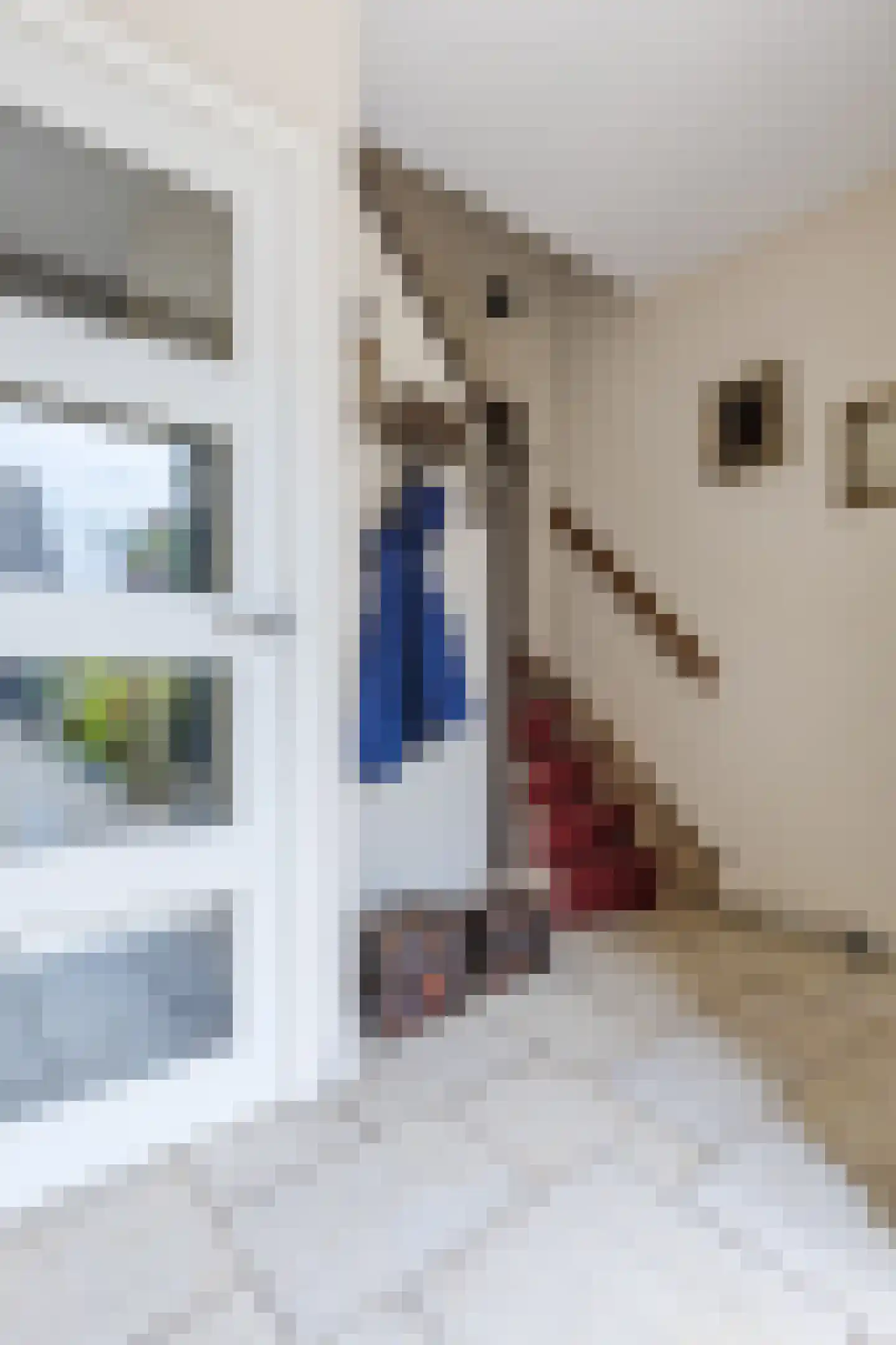 Groeskuilenstraat 40 Gemert thumbnail 6