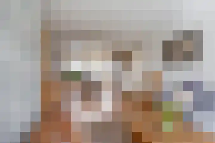 Groeskuilenstraat 58 Gemert thumbnail 14