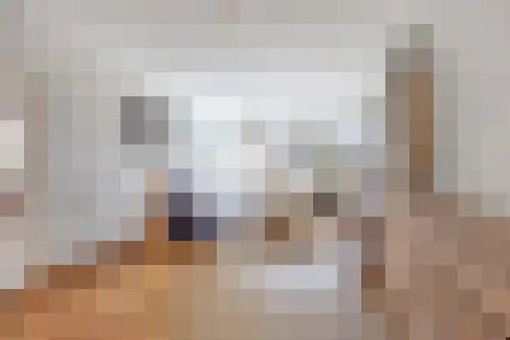 Groeskuilenstraat 58 Gemert thumbnail 15