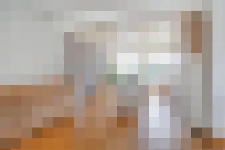 Groeskuilenstraat 58 Gemert thumbnail 16