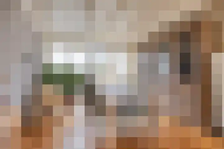 Groeskuilenstraat 58 Gemert thumbnail 17