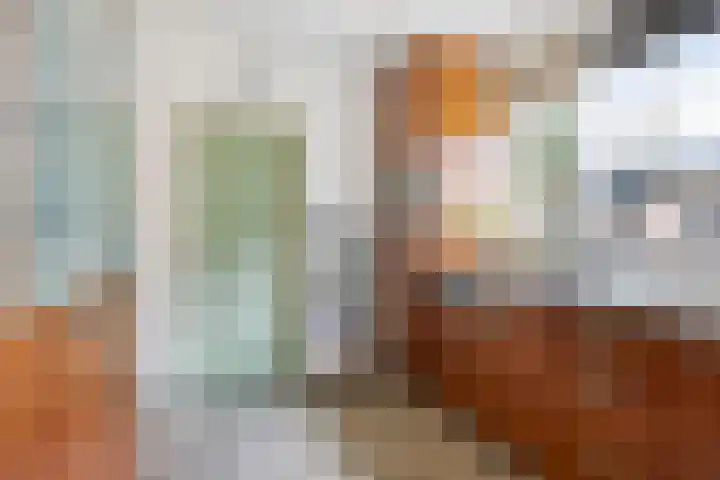 Groeskuilenstraat 58 Gemert thumbnail 18