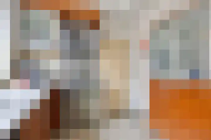 Groeskuilenstraat 58 Gemert thumbnail 21