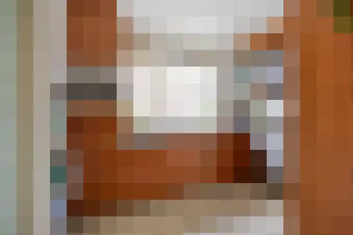 Groeskuilenstraat 58 Gemert thumbnail 22
