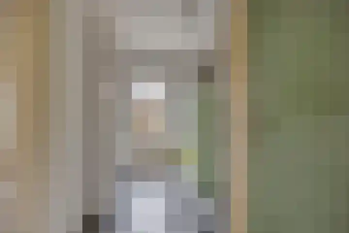 Groeskuilenstraat 58 Gemert thumbnail 23