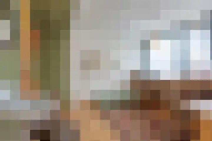 Groeskuilenstraat 58 Gemert thumbnail 26