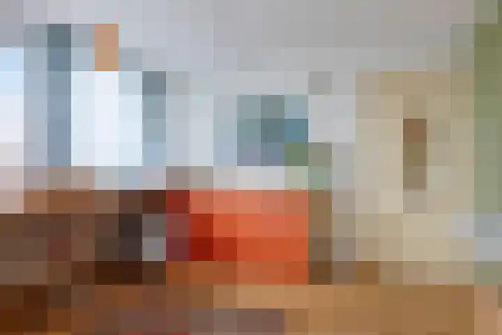 Groeskuilenstraat 58 Gemert thumbnail 27