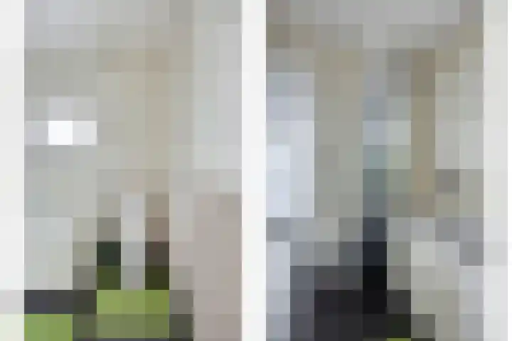Groeskuilenstraat 58 Gemert thumbnail 31