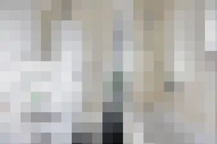 Groeskuilenstraat 58 Gemert thumbnail 32