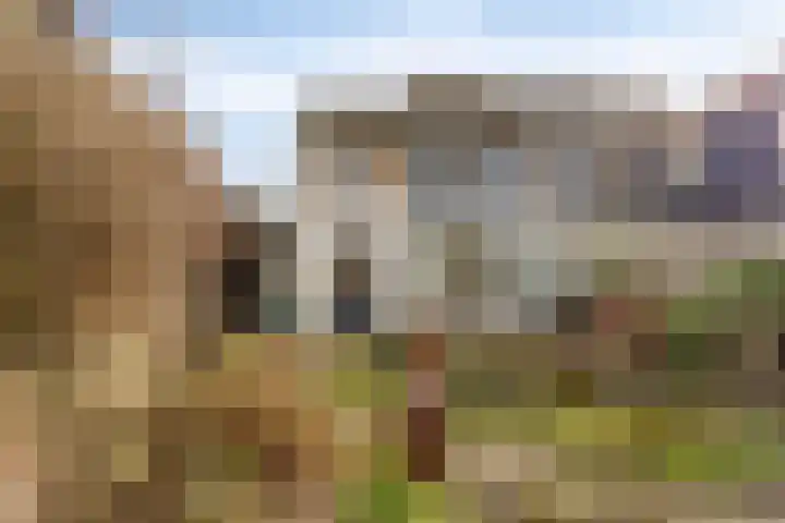 Groeskuilenstraat 58 Gemert thumbnail 37