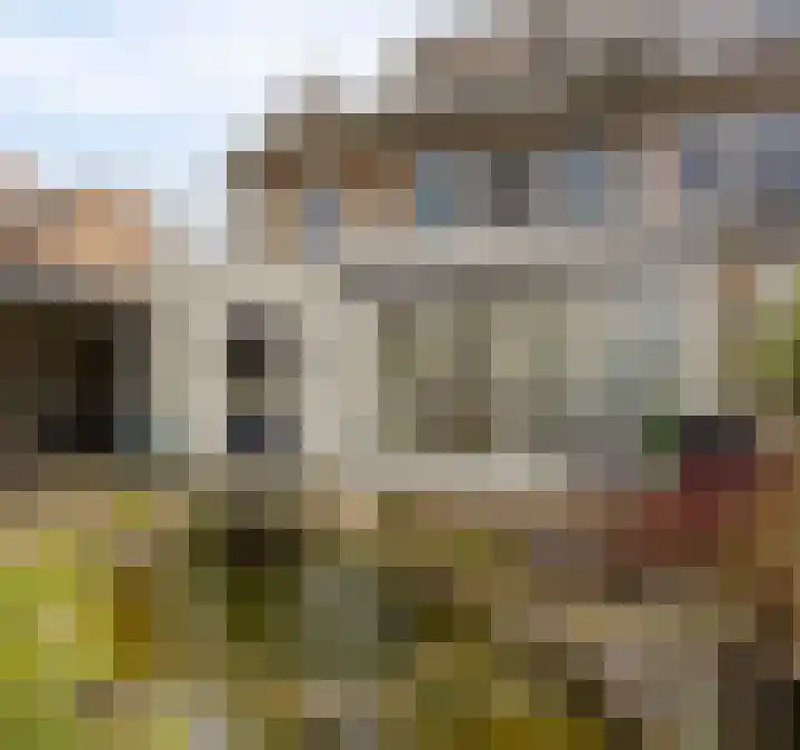 Groeskuilenstraat 58 Gemert thumbnail 39