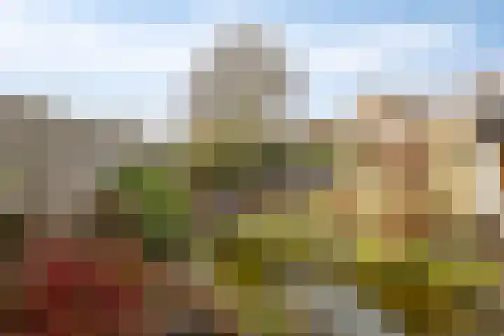 Groeskuilenstraat 58 Gemert thumbnail 41