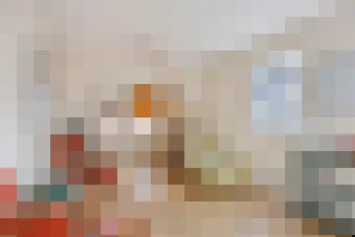 Groeskuilenstraat 58 Gemert thumbnail 44