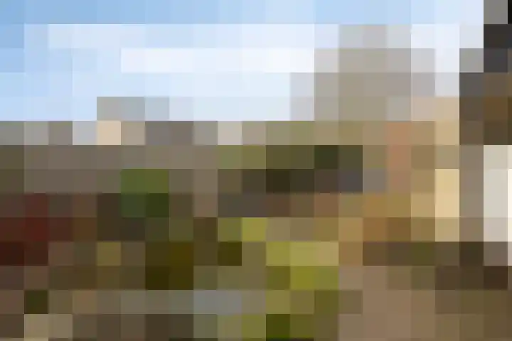 Groeskuilenstraat 58 Gemert thumbnail 5