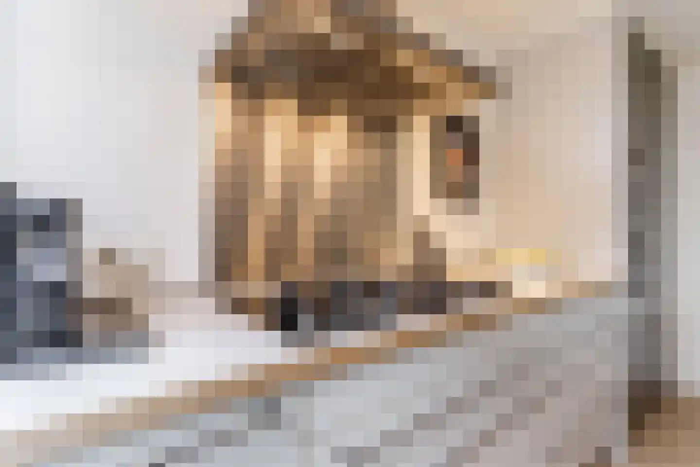 Groesstraat 12 Geldrop thumbnail 17