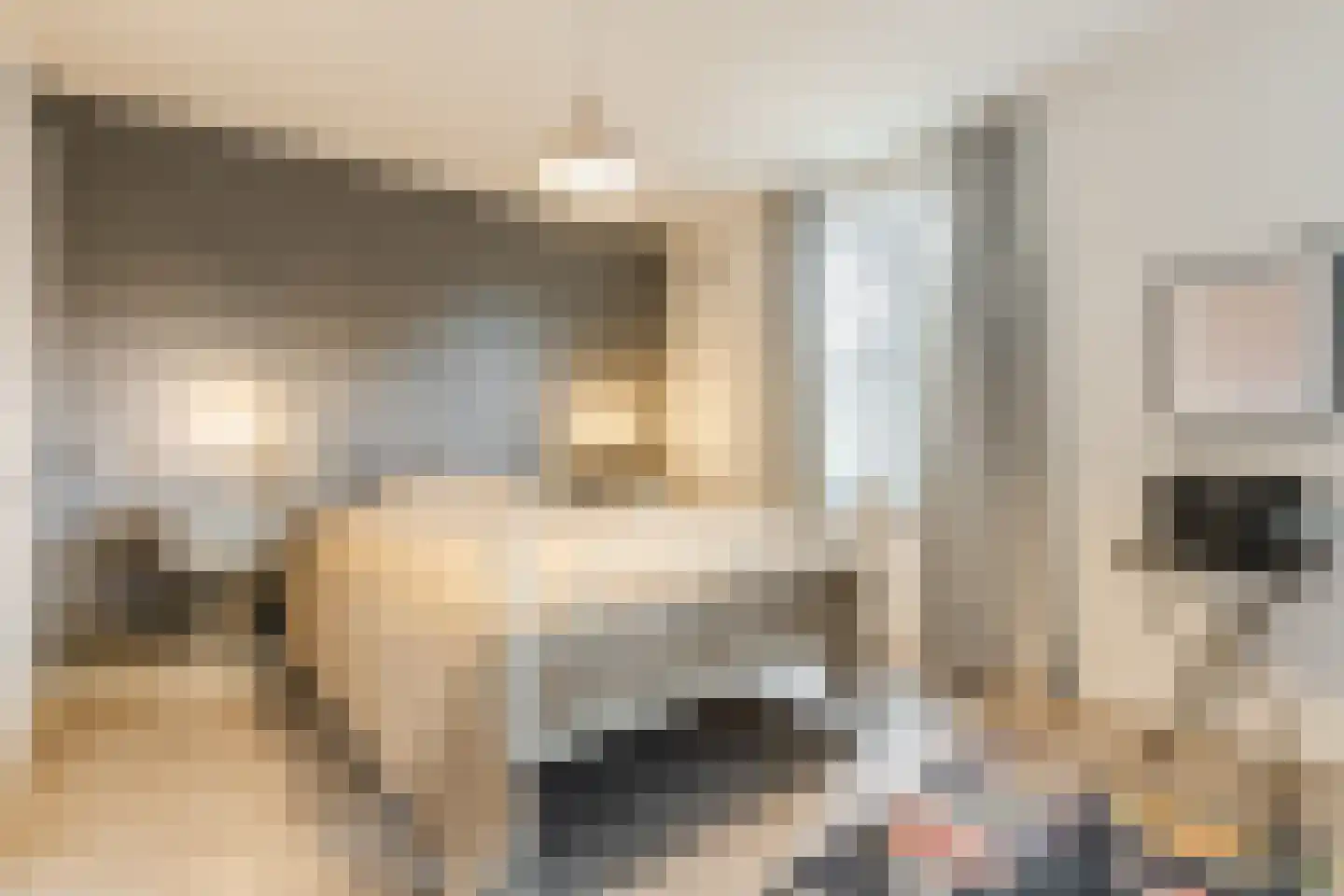 Groesstraat 12 Geldrop thumbnail 24
