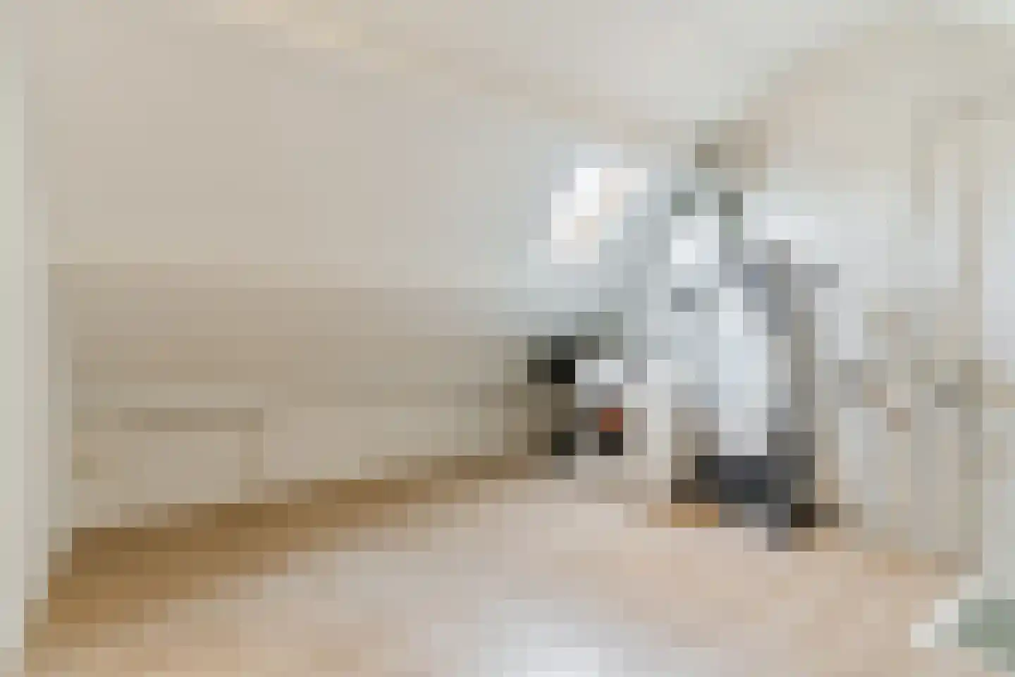 Groesstraat 12 Geldrop thumbnail 40