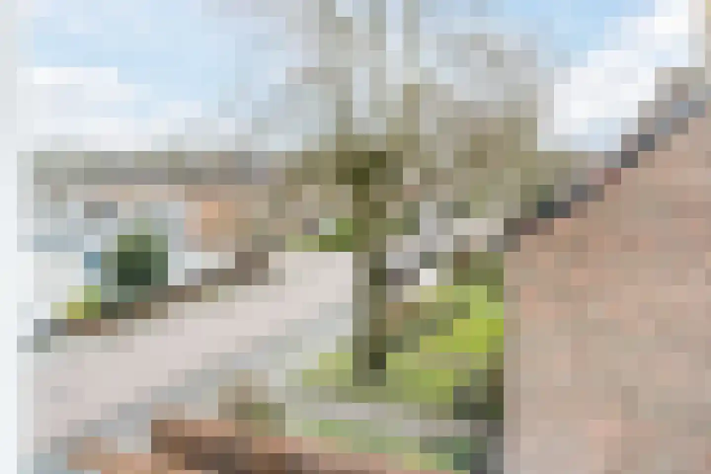 Groesstraat 12 Geldrop thumbnail 42