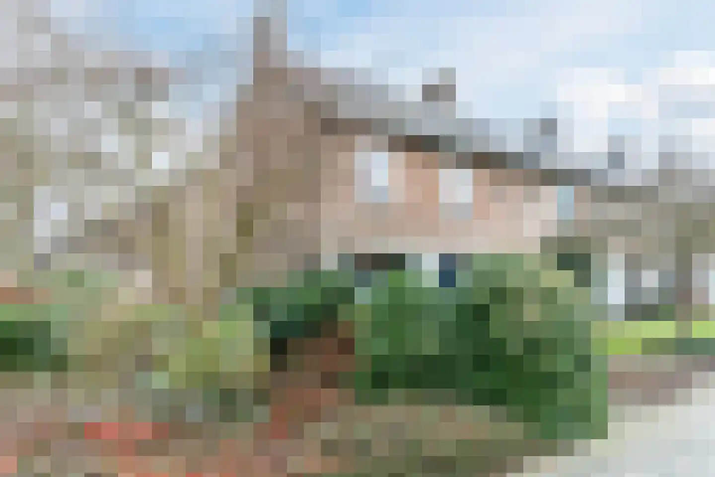 Groesstraat 12 Geldrop thumbnail 54