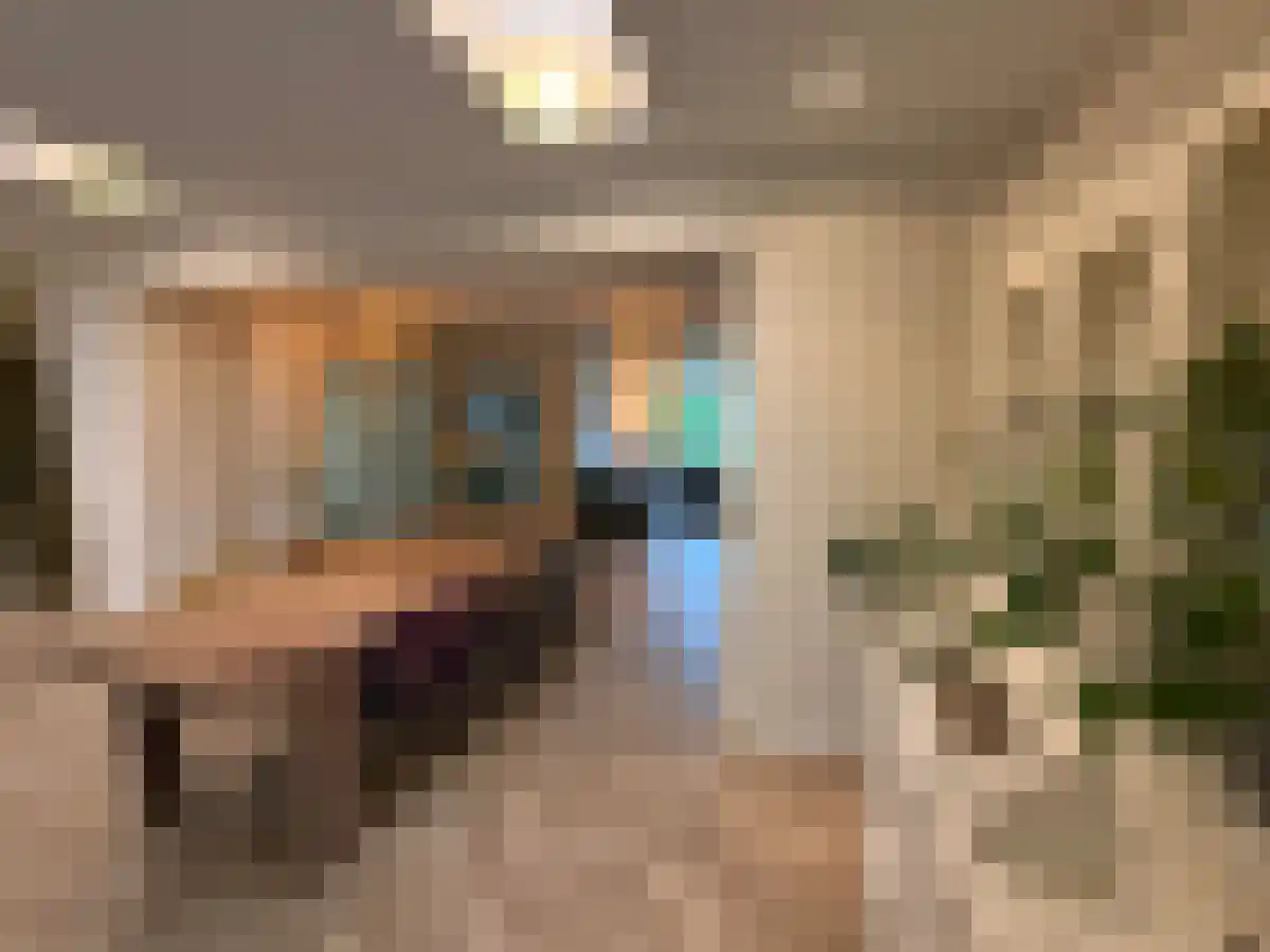 Groesstraat 9 Geldrop thumbnail 5