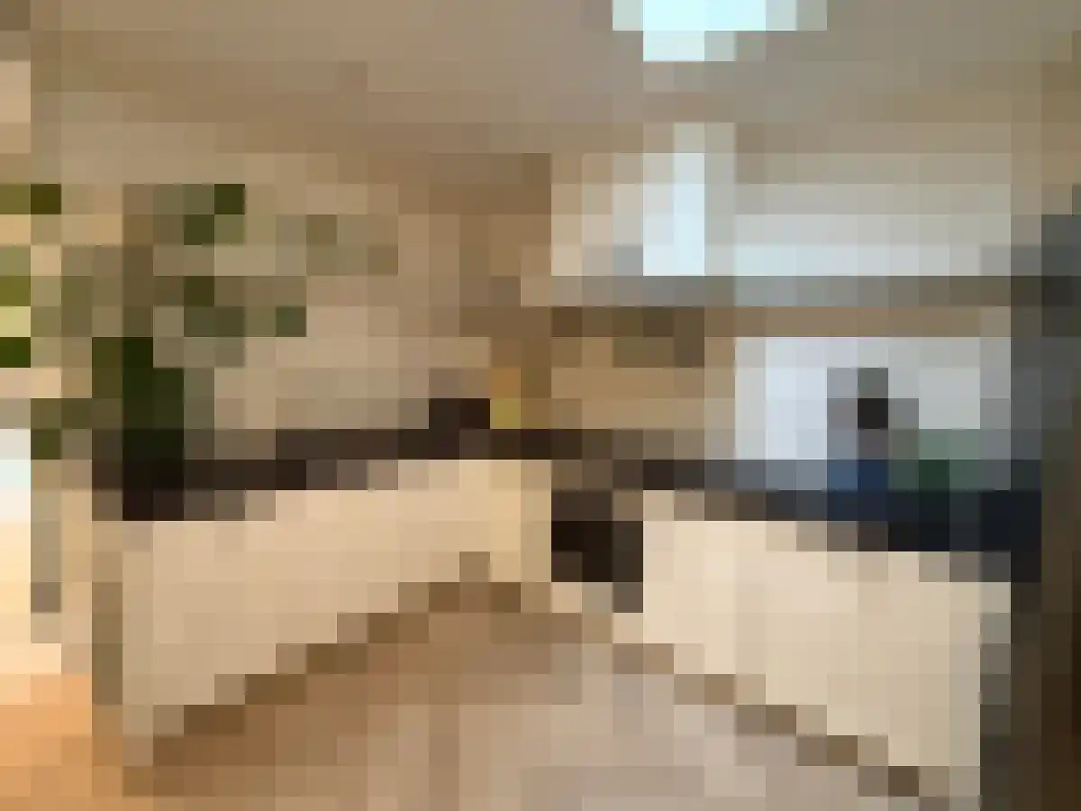 Groesstraat 9 Geldrop thumbnail 6