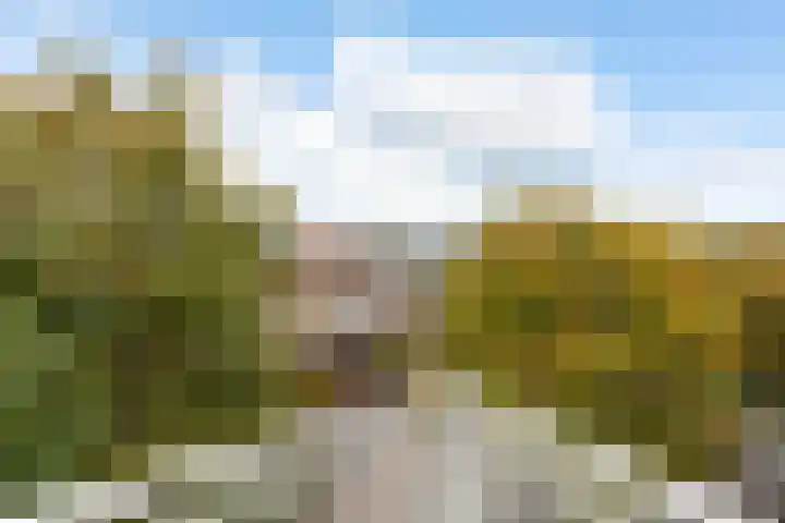 Groest 15 C Hilversum thumbnail 20