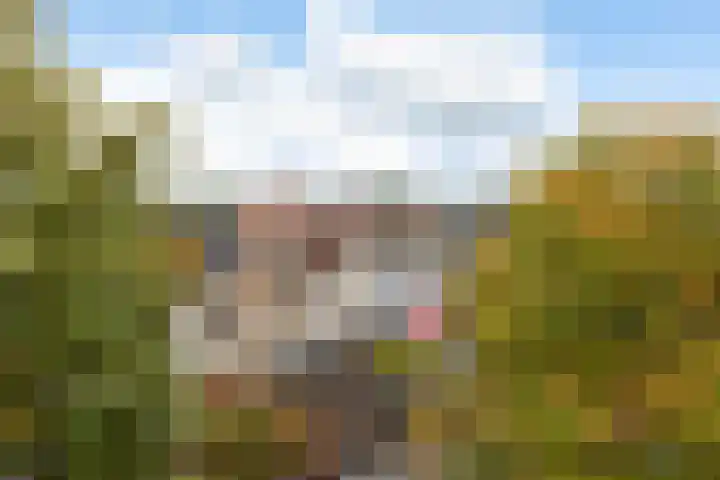 Groest 15 C Hilversum thumbnail 24