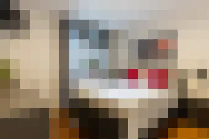 Groest 73 42 Hilversum thumbnail 11