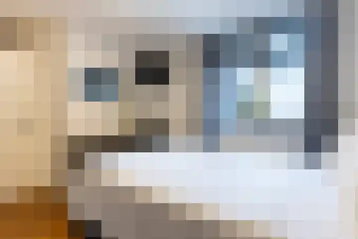 Groest 73 42 Hilversum thumbnail 12