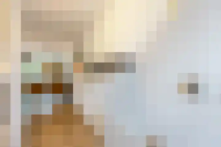 Groest 75 27 Hilversum thumbnail 11