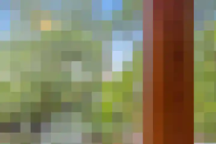Groest 75 27 Hilversum thumbnail 16