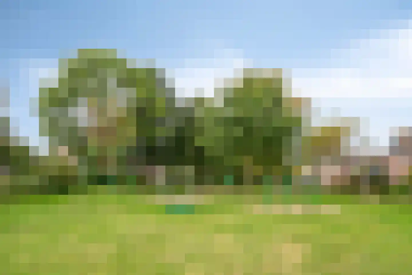 Groesveld 8 Gemert thumbnail 37