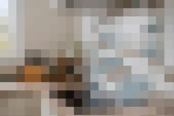 Groesweg 6 Maasbree thumbnail 11