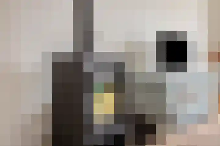 Groesweg 6 Maasbree thumbnail 14