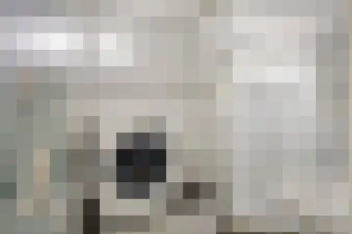 Groesweg 6 Maasbree thumbnail 21