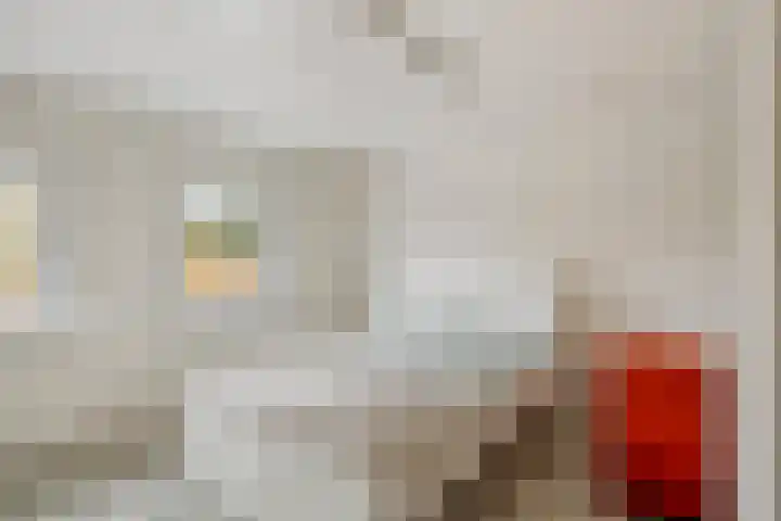 Groesweg 6 Maasbree thumbnail 30