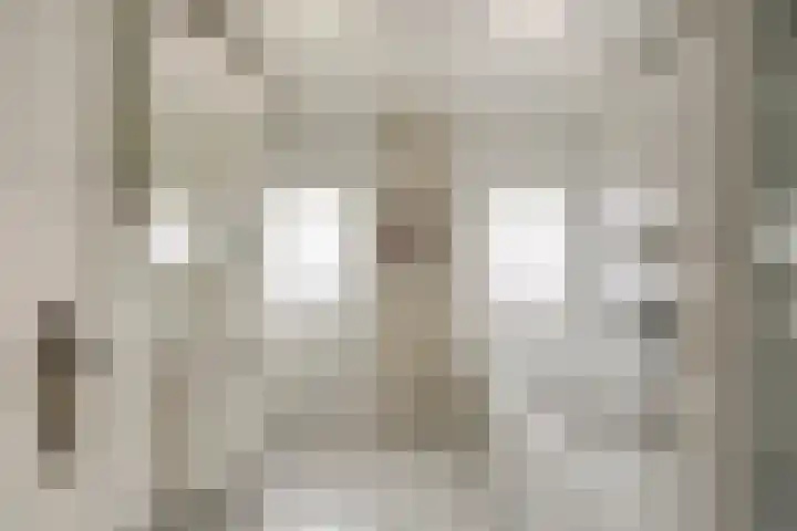 Groesweg 6 Maasbree thumbnail 32