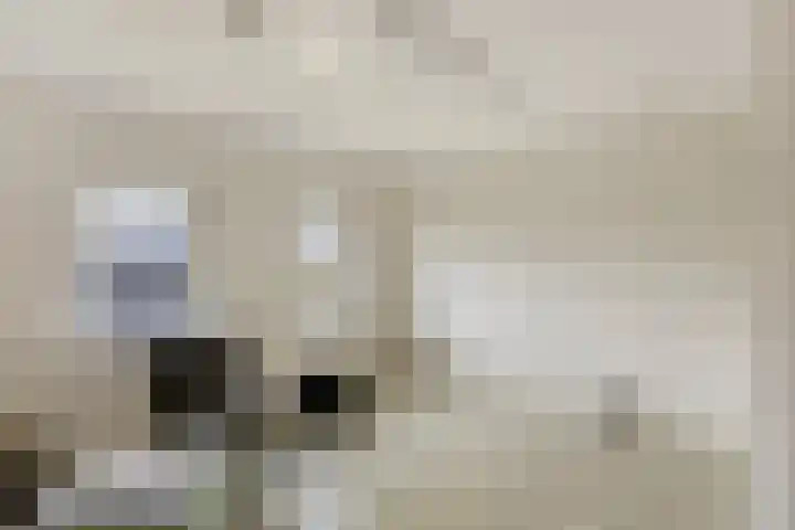 Groesweg 6 Maasbree thumbnail 35