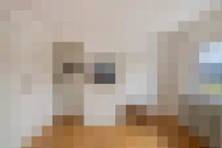 Groesweg 6 Maasbree thumbnail 37