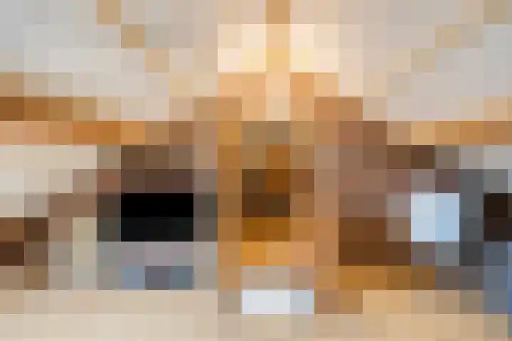 Groesweg 6 Maasbree thumbnail 39