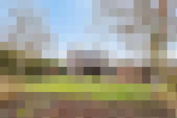 Groesweg 6 Maasbree thumbnail 45