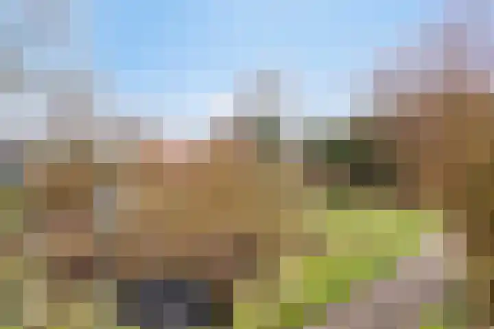 Groesweg 6 Maasbree thumbnail 46