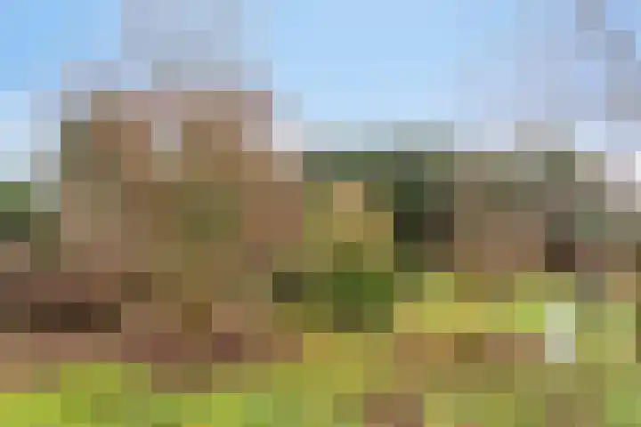 Groesweg 6 Maasbree thumbnail 47