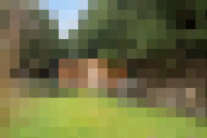 Groesweg 6 Maasbree thumbnail 48