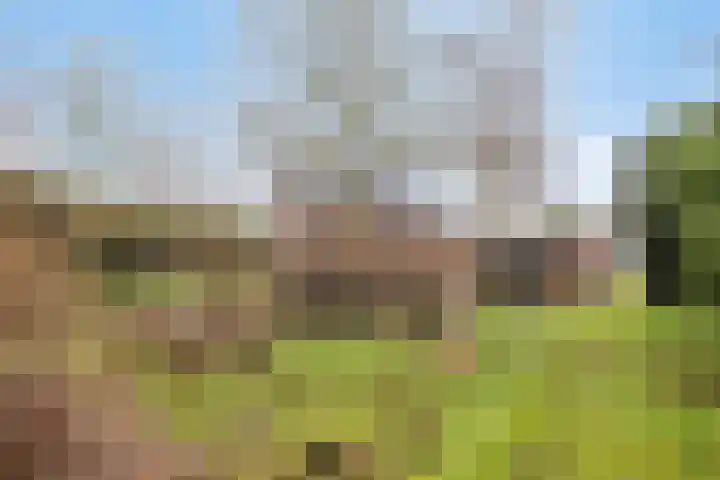 Groesweg 6 Maasbree thumbnail 49