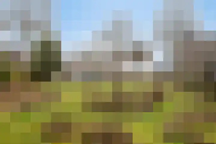 Groesweg 6 Maasbree thumbnail 51