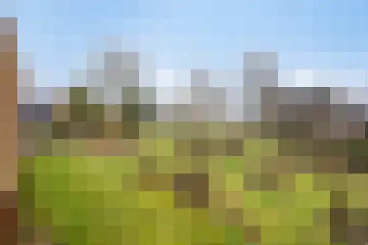 Groesweg 6 Maasbree thumbnail 52