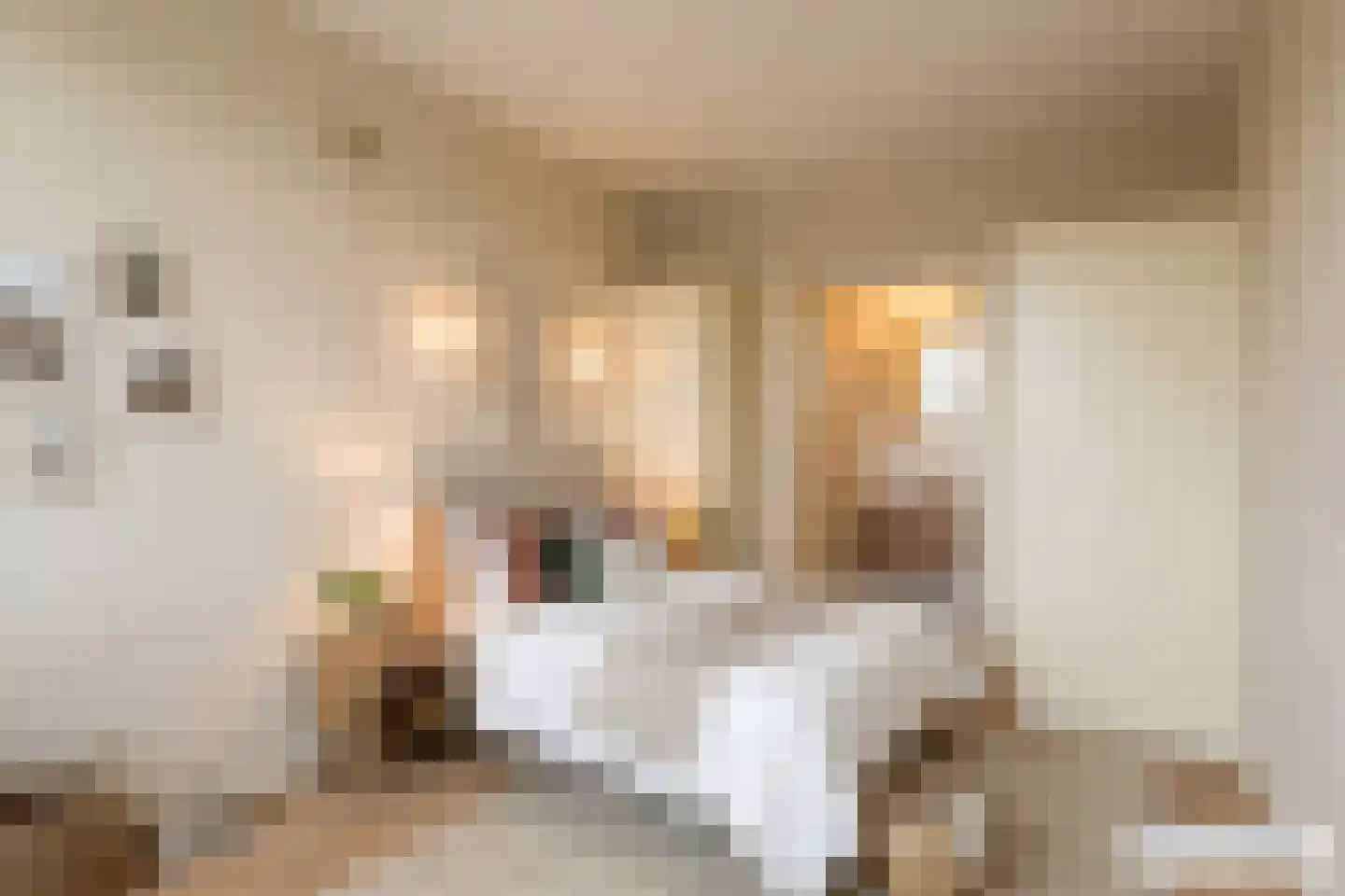 Groetlaan 12 Hoogwoud thumbnail 19