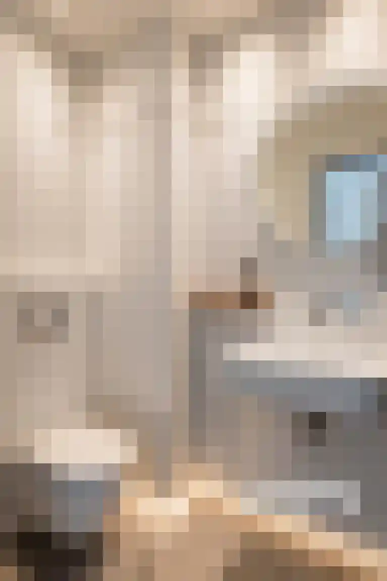 Groetlaan 12 Hoogwoud thumbnail 26