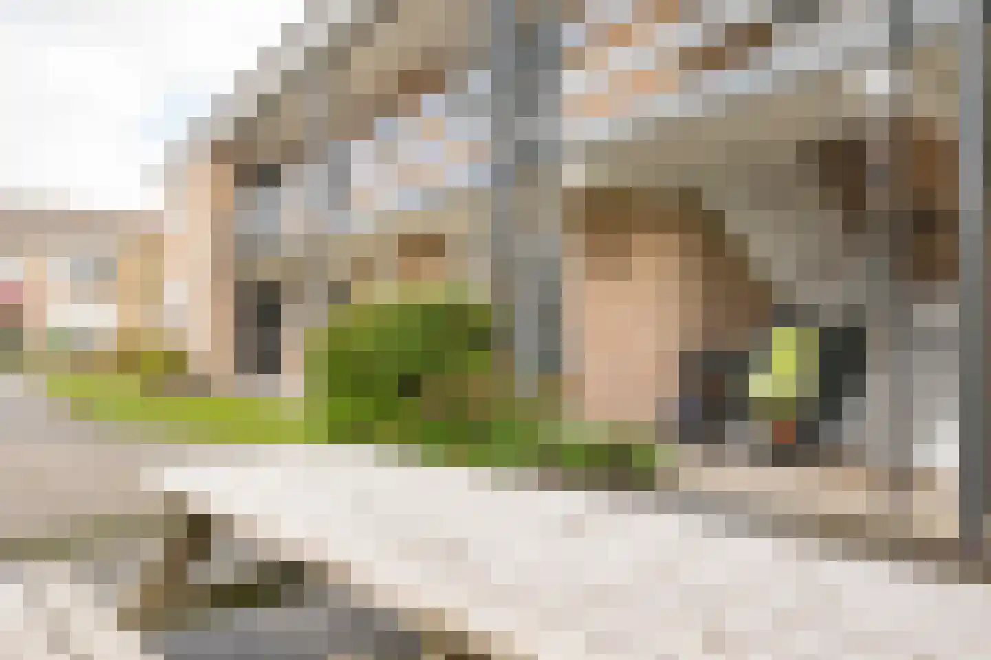 Groetlaan 12 Hoogwoud thumbnail 31